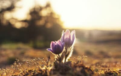 We All Fall, Part 1: Finding Opportunity in Failure